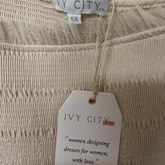 Ivy City Lined Fancy Beige Dress NWT, size 5X - Picture 2 of 5